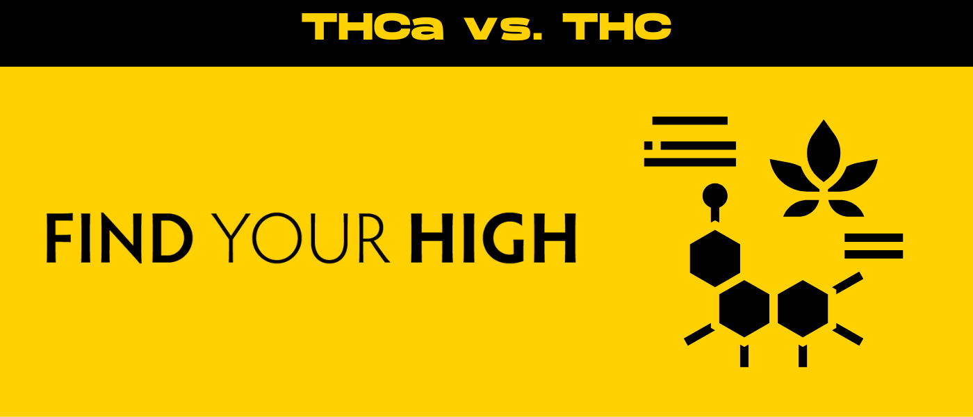 black and yellow banner image for THCa vs THC