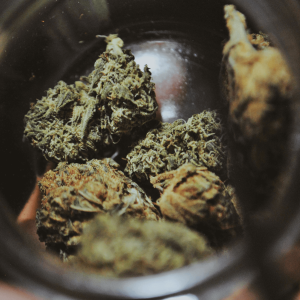 a jar of green and brown cannabis nugs