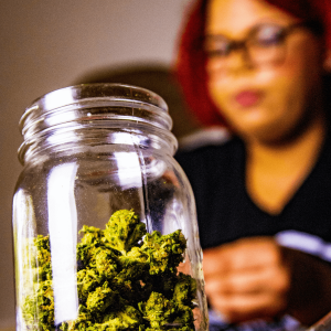 a glass jar of green cannabis buds