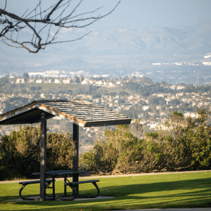 park bench with a view of a city in the background