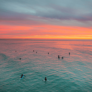 surfers surfing in the ocean