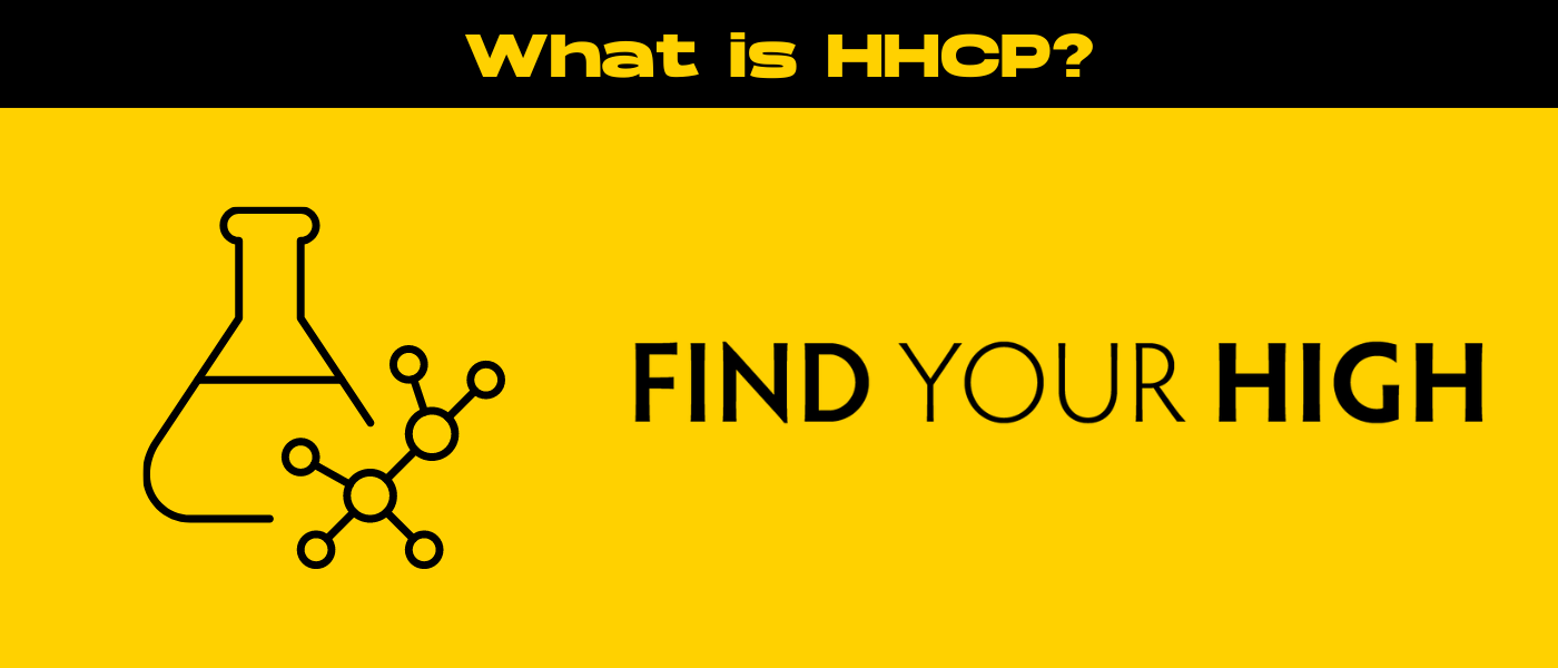 black and yellow banner image for what is hhcp