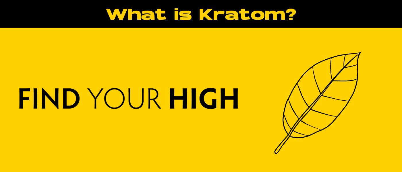 black and yellow banner image for what is kratom