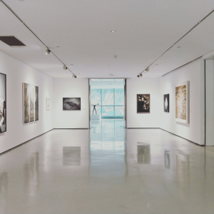 a white art gallery with assorted paintings hung throughout 