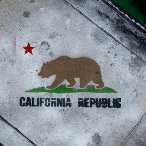 California republic symbol spray-painted on the ground