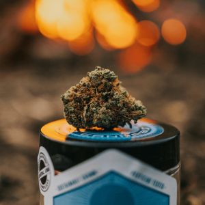 a cannabis nug sitting on top of a flower jar