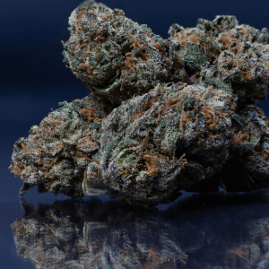 cannabis buds against a blue background