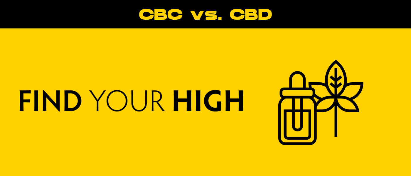 black and yellow banner image for cbc vs cbd blog