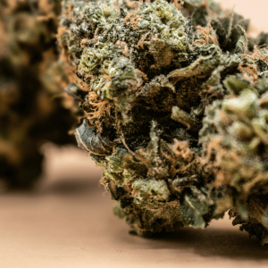 close up image of a cannabis nug