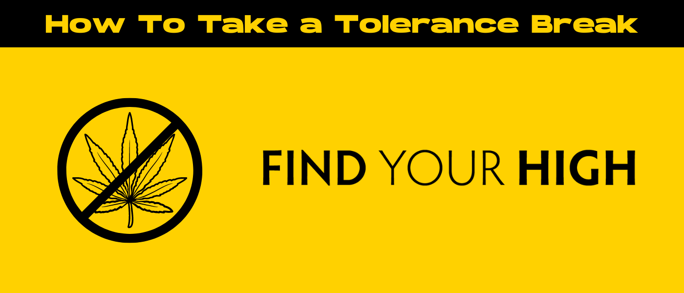 black and yellow banner image for tolerance break blog
