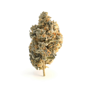 a fluffy nug of cannabis against an entirely white background