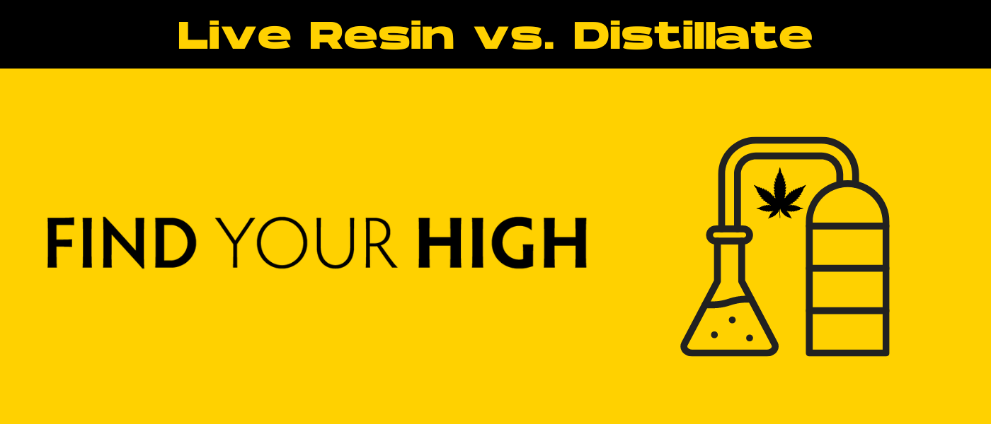 black and yellow banner image for live resin vs distillate