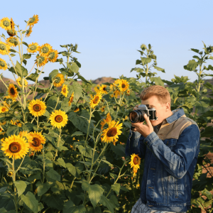 a man taking a photo in a sunflower field in Redlands, CA