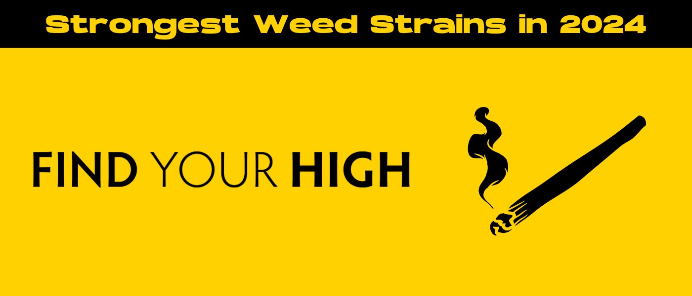 black and yellow banner image for strongest weed strain 2024 blog