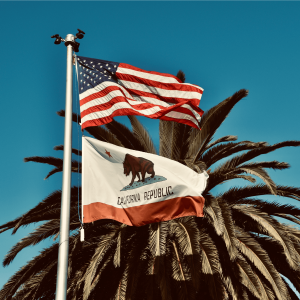 american and california flags flying in front of a palm tree 