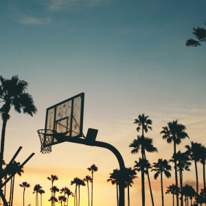 silhouette of basketball hoop and palm trees at sunset