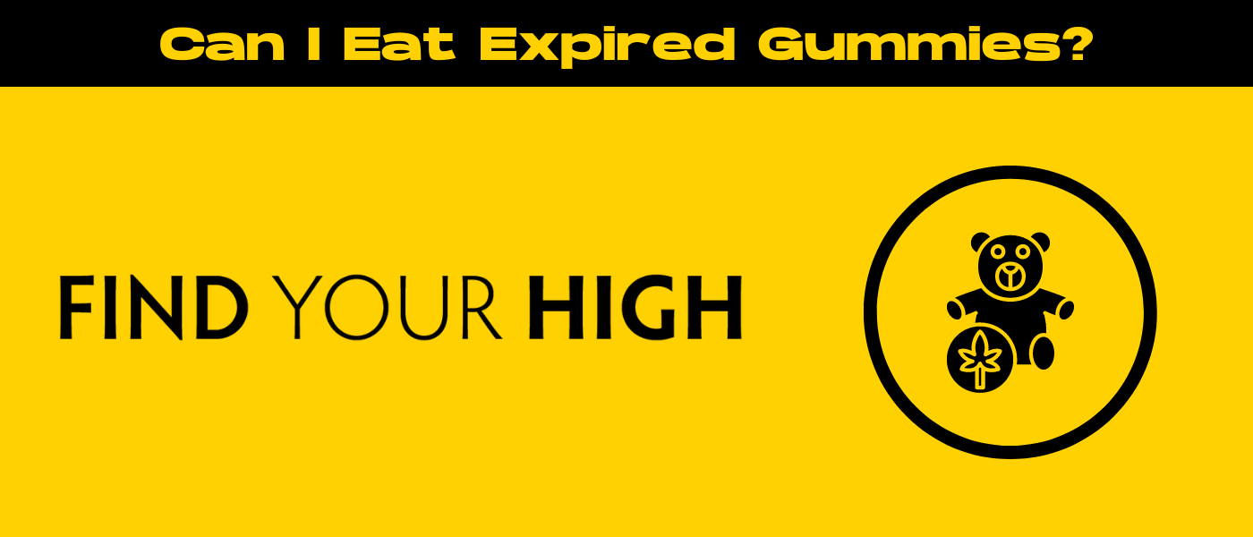 black and yellow banner image for what happens if you eat expired edible gummies blog