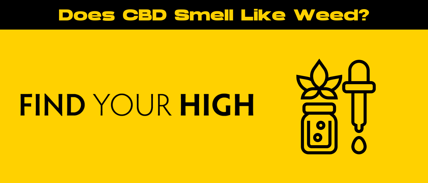 black and yellow banner image for does cbd smell like weed