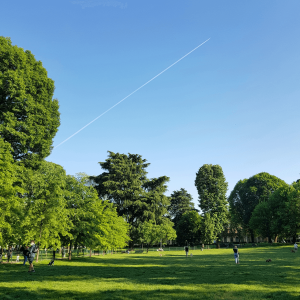 people walking in a park on green grass under a blue sky