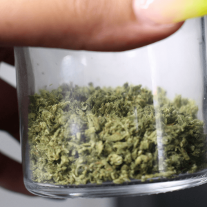 ground cannabis in a jar