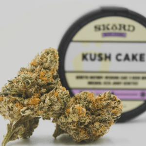 Kush cake cannabis nugs and jar