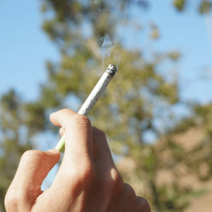a person holding a white burning hemp cigarette