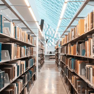 books lining the shelves in a library