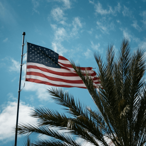american flag waving next to a palm tree