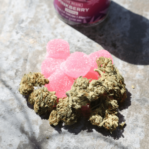 pink cannabis gummies next to flower nugs