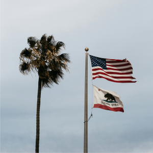 American and Californian flags waving next to a palm tree