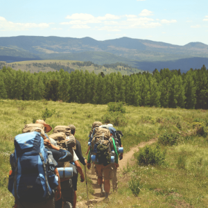 a group of hikers