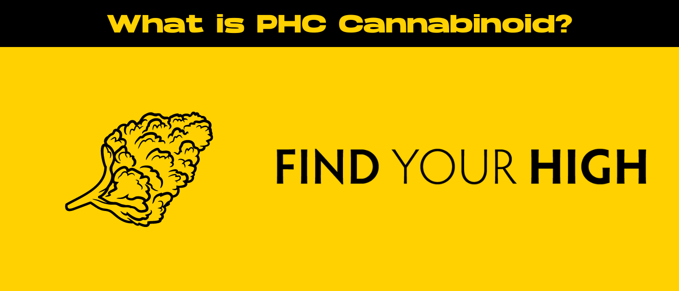 black and yellow banner image for phc cannabinoid blog