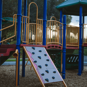 a children’s playground surrounded by trees