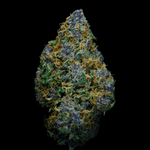 green, purple, brown, and orange cannabis nug against a black background