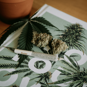 a joint and two cannabis buds sitting on top of a green magazine