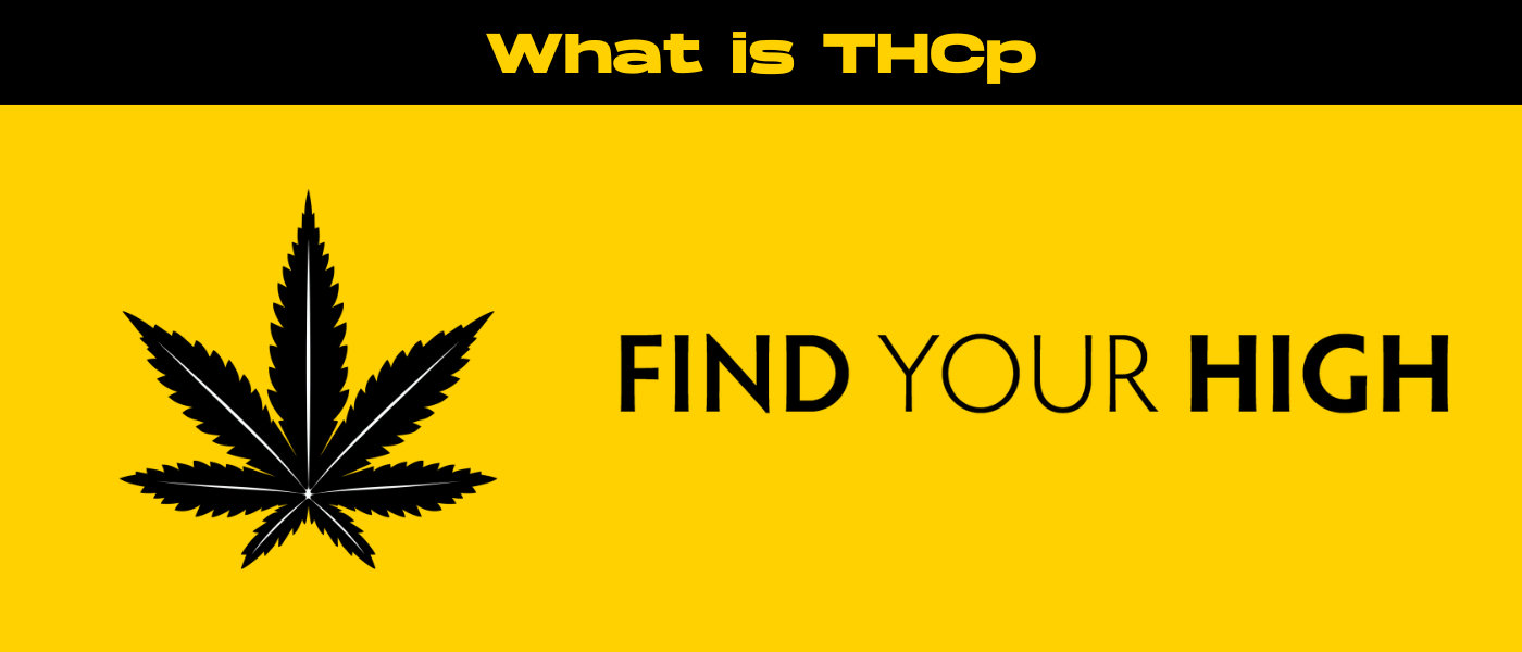 black and yellow banner image for what is thcp