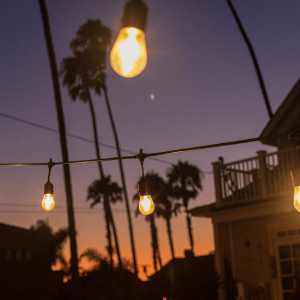 LED light and palm trees against a sunset sky