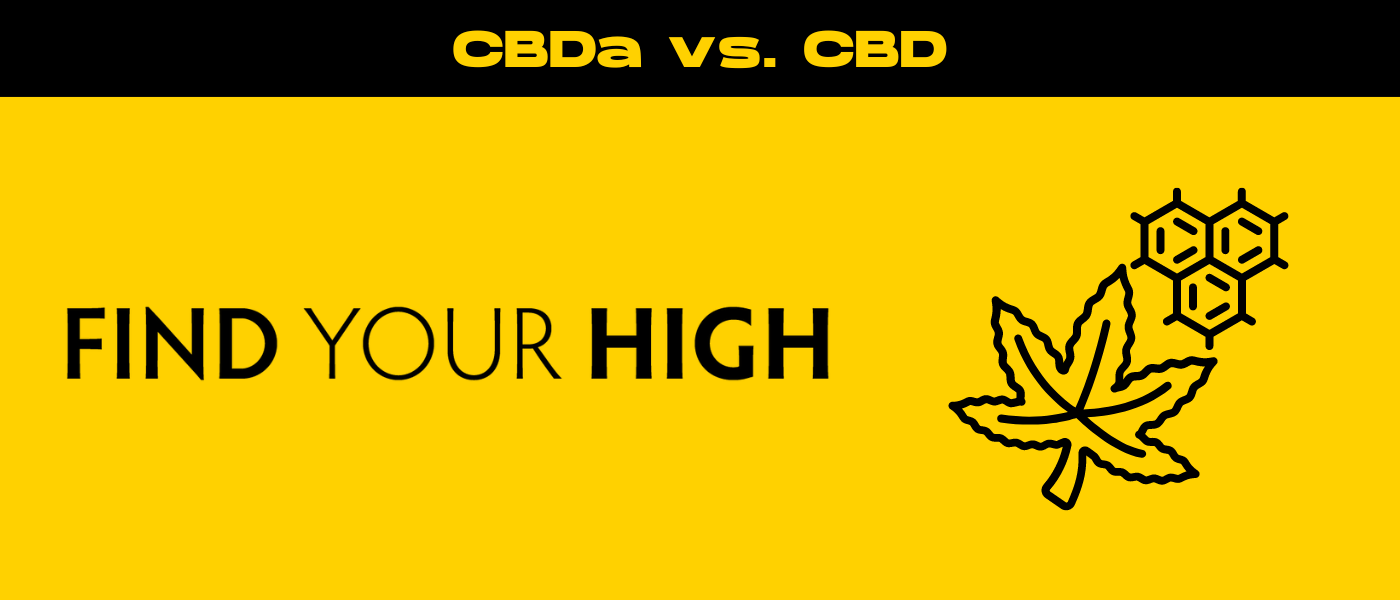 black and yellow banner image for cbda vs cbd blog
