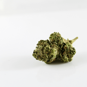 an olive green cannabis nug against a white background