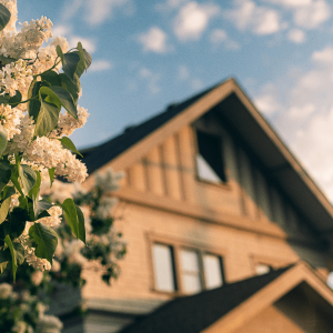 white flowers with green leaves in front of a house