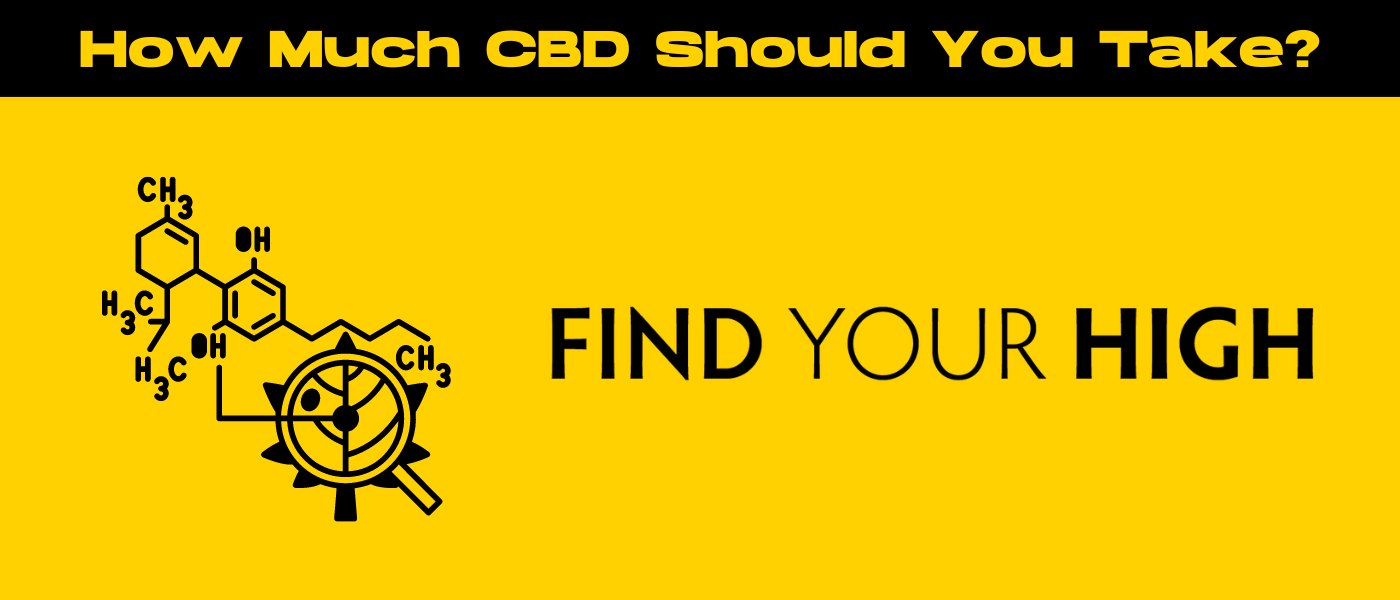 black and yellow banner image for how much cbd should a beginner start with blog