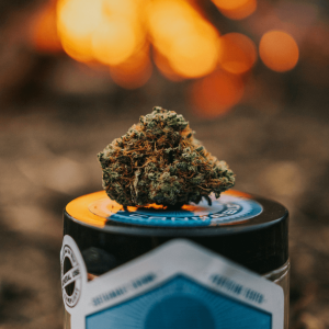 A cannabis nug on top of a jar