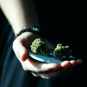 a person holding a tray with two green cannabis buds