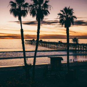 San clemente pier and silhouette of palm trees at sunset