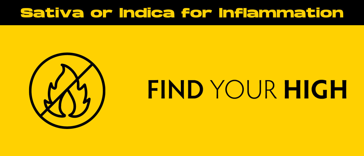 black and yellow banner image for sativa or indica for inflammation blog