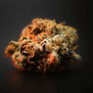 small cannabis bud with orange lighting