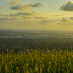 a field of grass with a view of a city in the distance