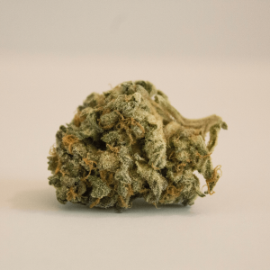 a small cannabis bud against a tan background