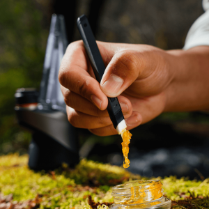 a dab tool pulling gold concentrate from a small jar