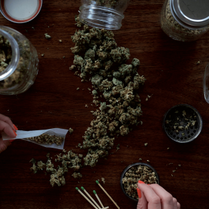 cannabis flower and a person rolling a joint